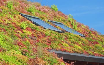 Kitts Moss living roof systems