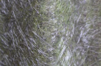 Kitts Moss fibreglass roof work